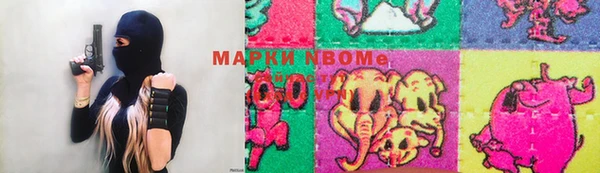 индика Инта