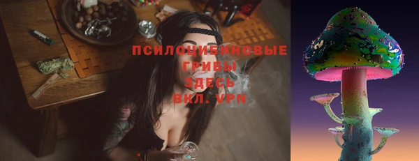 спайс Аркадак