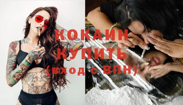 спайс Аркадак