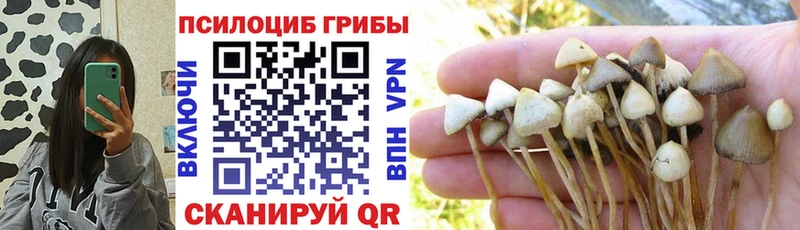 Галлюциногенные грибы Psilocybine cubensis  Пыть-Ях 